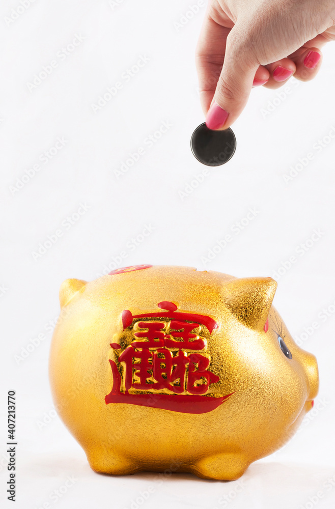 The young woman to save the Coin Piggy Bank