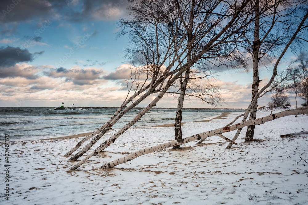 波兰格但斯克波罗的海冰雪覆盖海滩的冬季景观