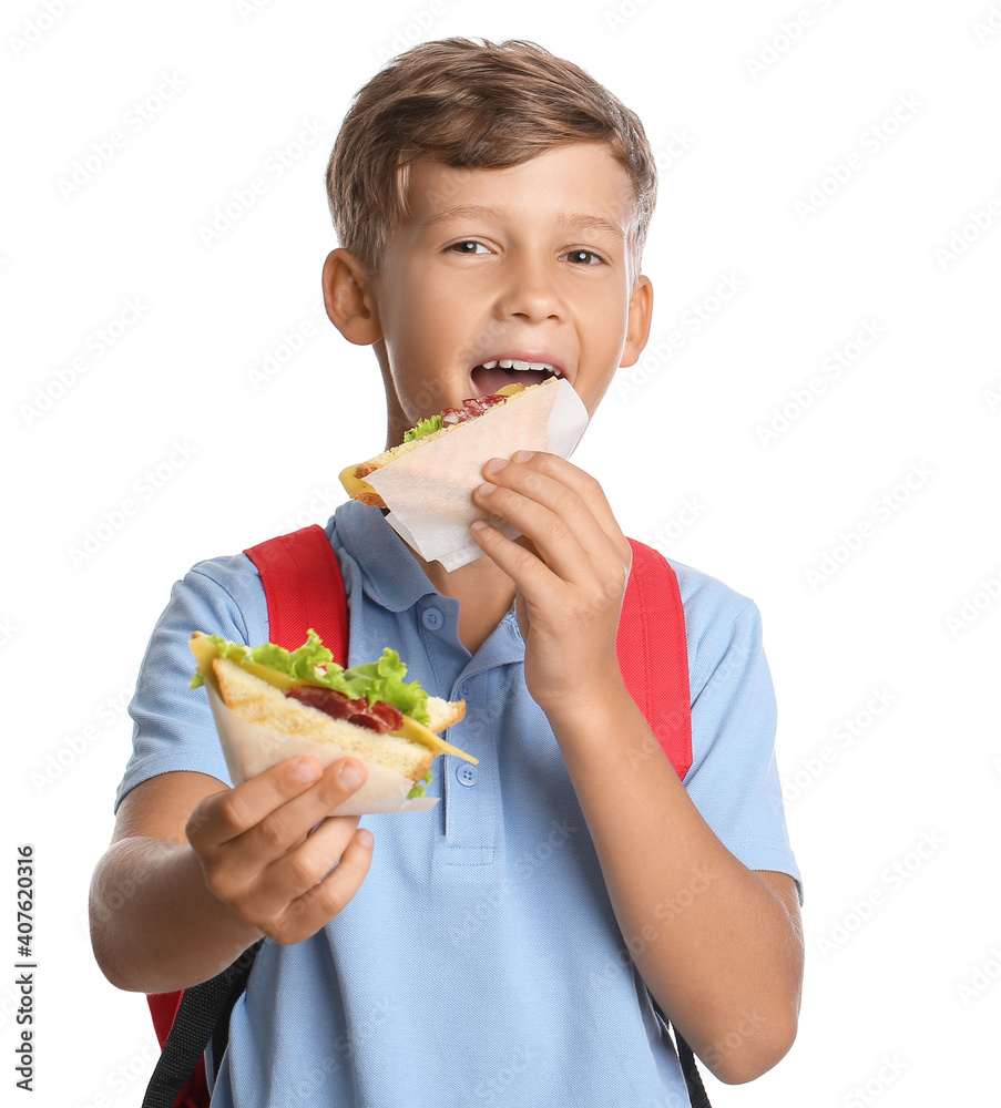 Schoolboy eating sandwich on white background