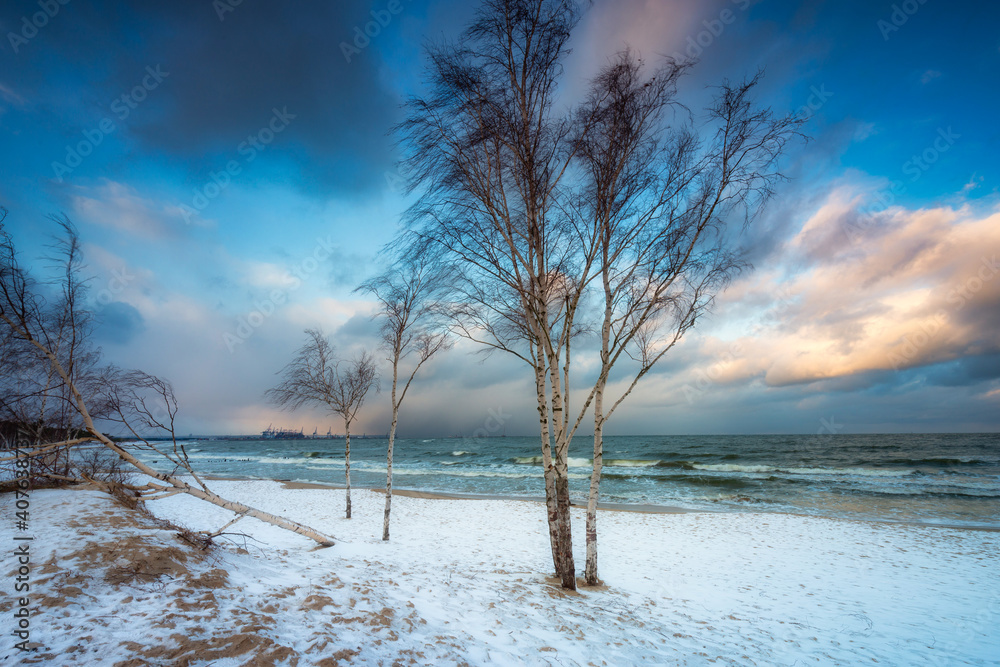 波兰格但斯克波罗的海被雪覆盖的海滩的冬季景观