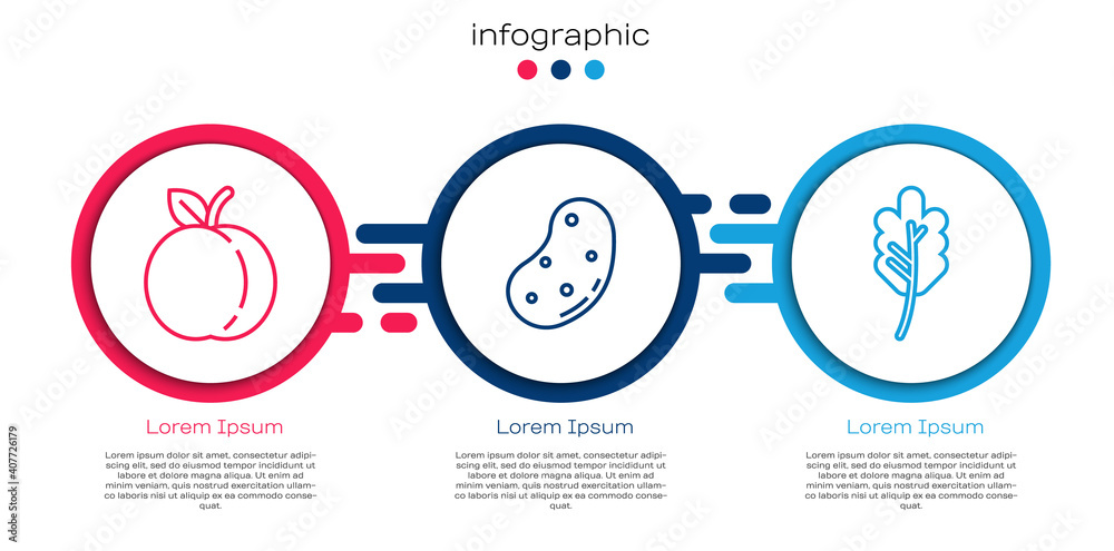 设置线桃果、土豆和叶子。商业信息图模板。矢量。
