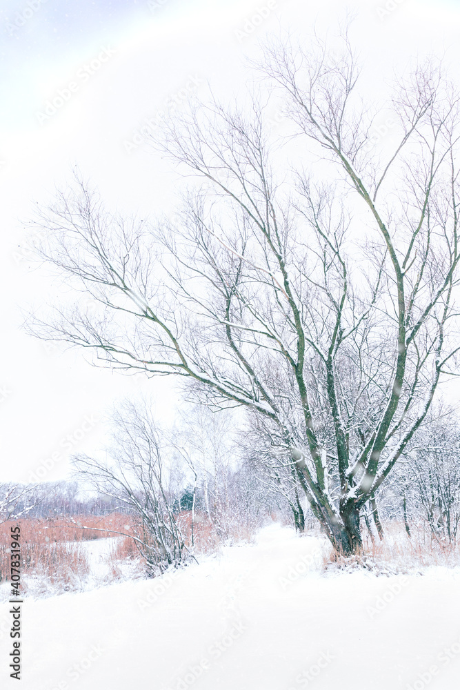 雪地里的人行道