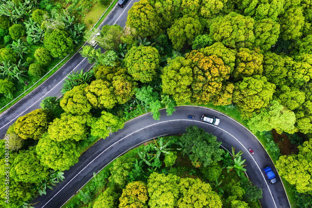 森林中公路的鸟瞰图。穿过森林的公路。无人机视角。自然景观