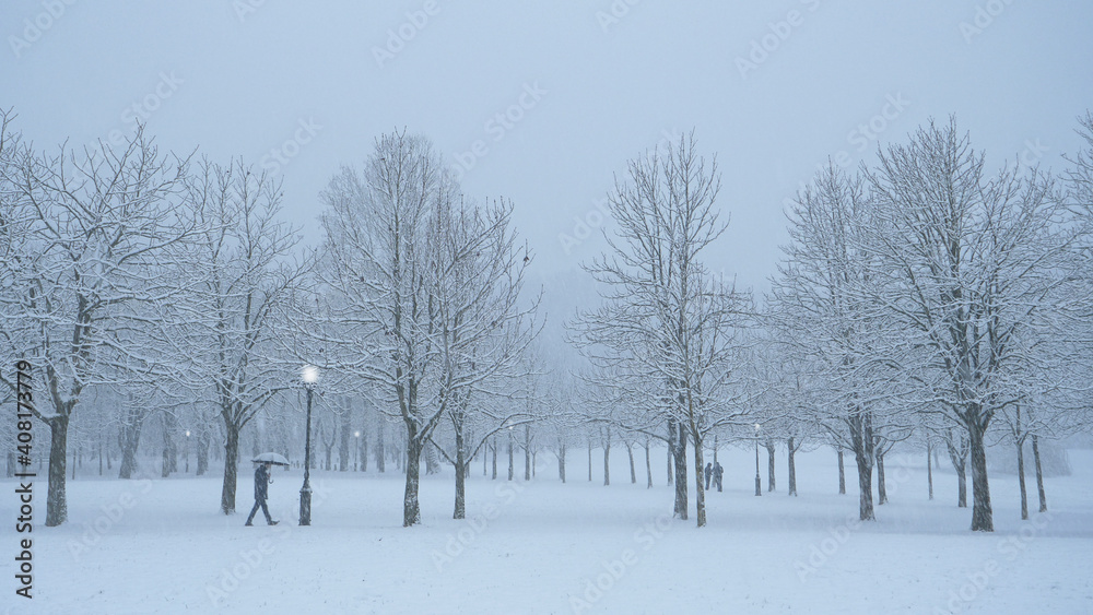 暴风雪期间，男性在公园里撑着伞。