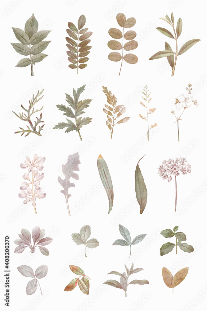 Foliage design elements vector set