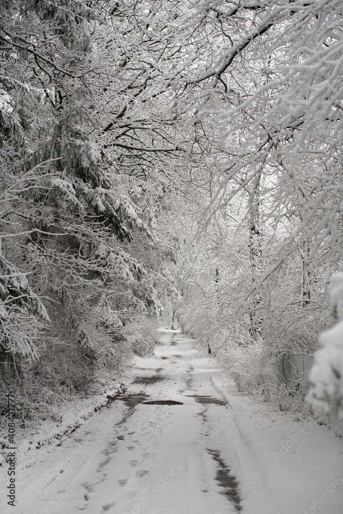 Schneelandschaft