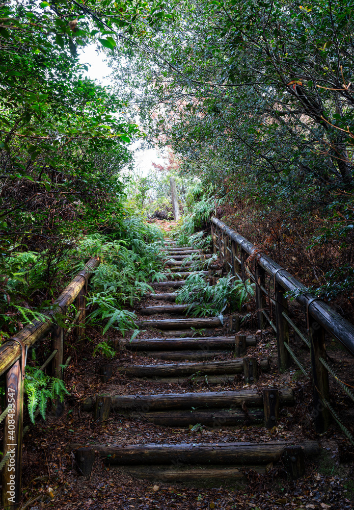 Old wooden stairs in the mountain path