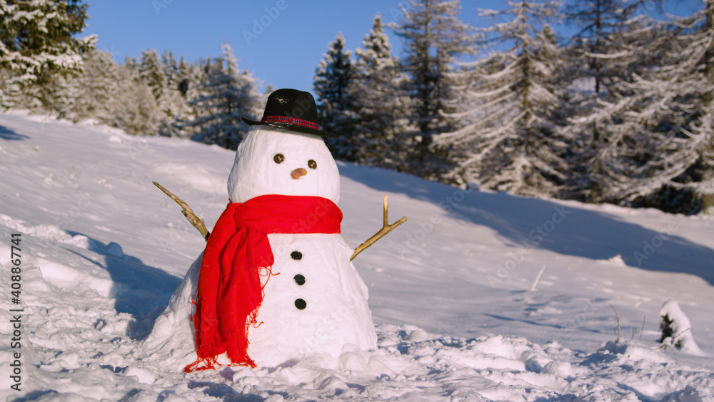 CLOSE UP: Funny snowman stands in the idyllic wintry countryside on a sunny day.