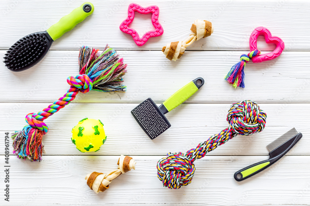 Pet toys and accessories for dogs, overhead view