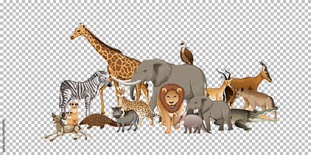 Group of wild african animal on transparent background