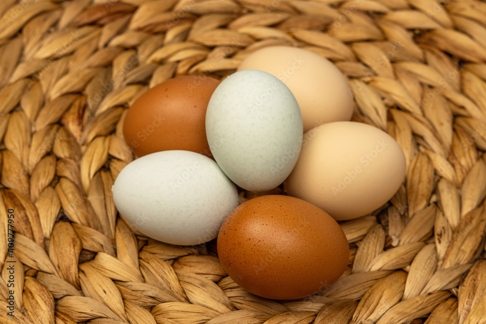 新鮮たまごのイメージ　Image photo of chicken egg 