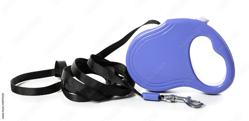 Leash for dog on white background