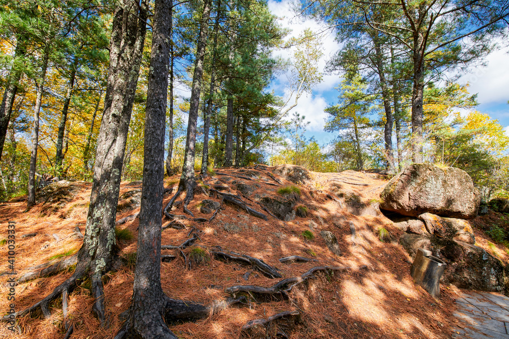 The beautiful autumn forests landscape of Lesser Khingan Mountains of China.