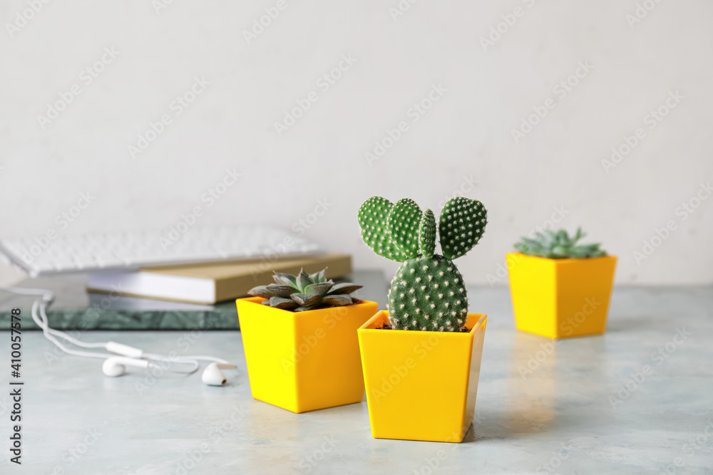 Flowerpots with cactus and succulents on table