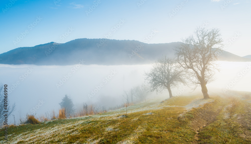 Frozen grass against the backdrop of a beautiful sky and fluffy fog