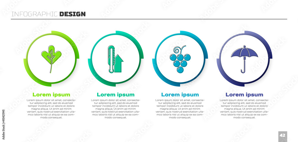 设置树叶、气象温度计、葡萄果实和雨伞。商业信息图模板