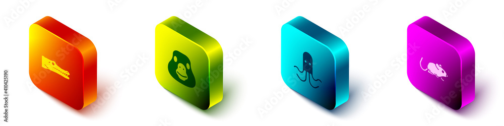 Set Isometric Crocodile, Goose bird, Octopus and Rat icon. Vector.