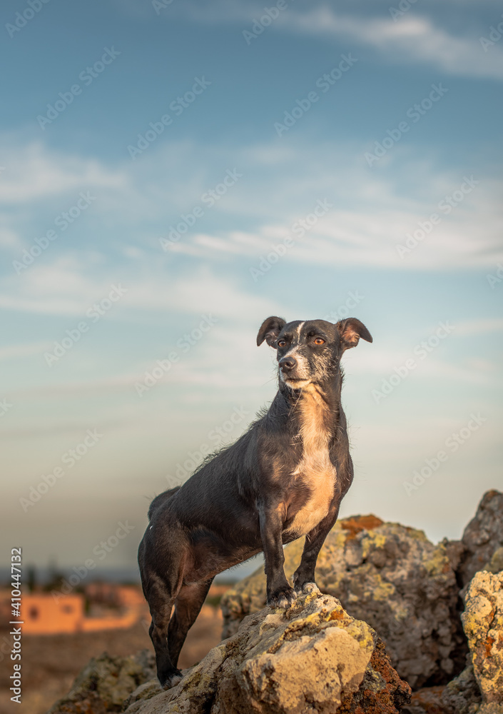 保护环境的Bonita fotografia de un campo