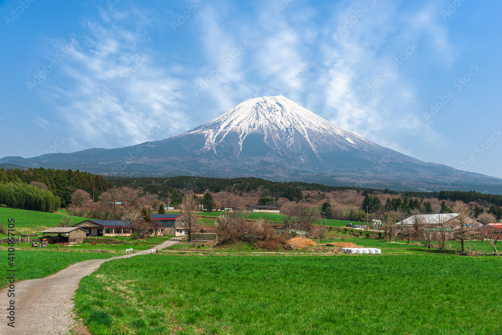 富士山和农田