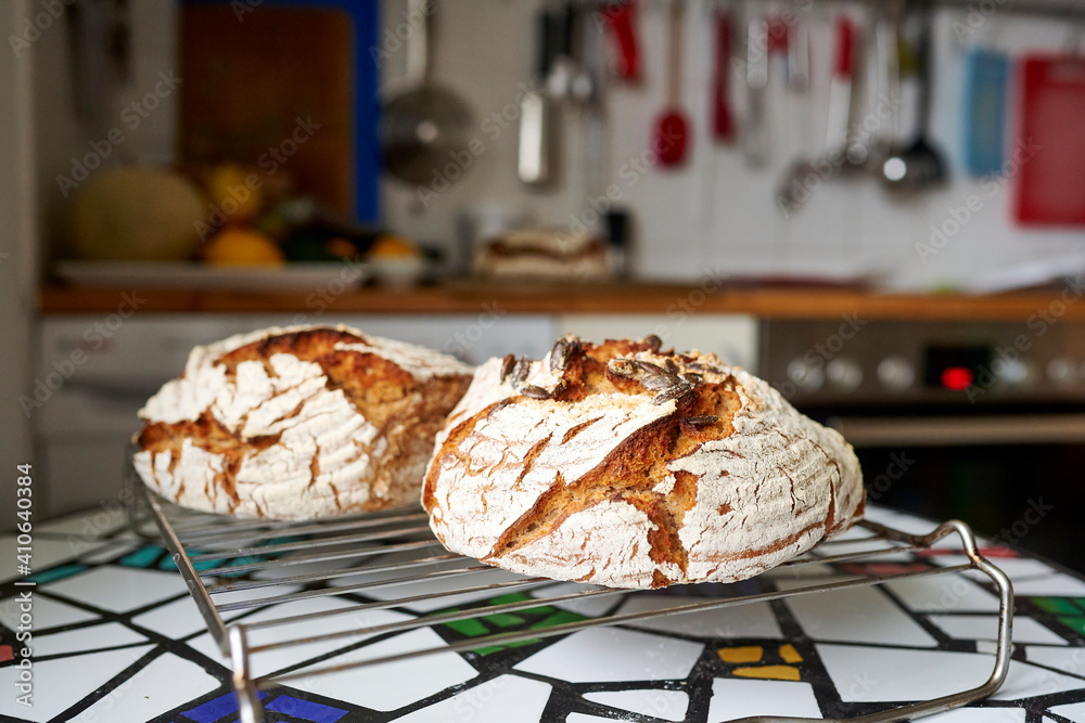 selbstgemachtes Brot mit schöner Kruste aus cem Backofen zuhause hergestellt