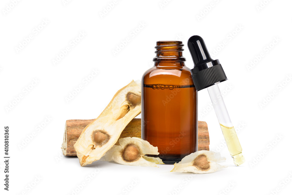 Moringa essential Oil in amber bottle with dried seeds and pod isolated on white background.