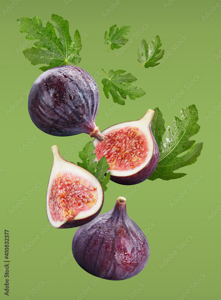 Falling figs fruits and fig leaves isolated on green background