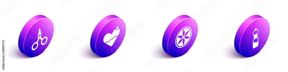 Set Isometric Scissors, Heart heal, Leaf plant nature and Bottle of water icon. Vector.