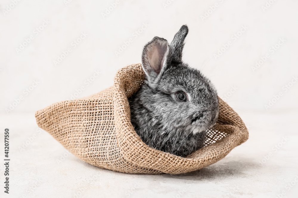 Cute fluffy rabbit in bag on light background