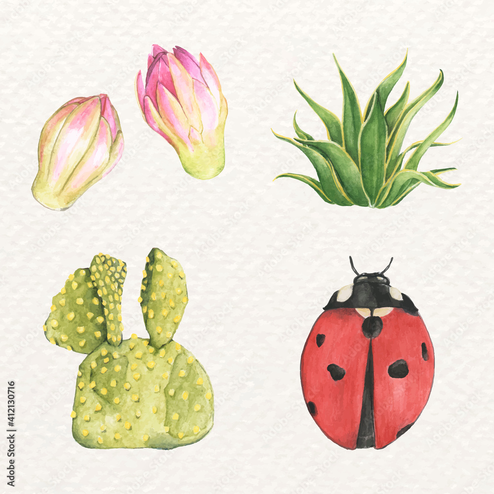 Ladybug and cactus watercolor vector set