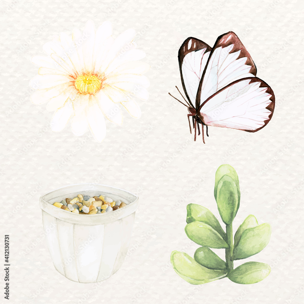 Butterfly and succulent vector set