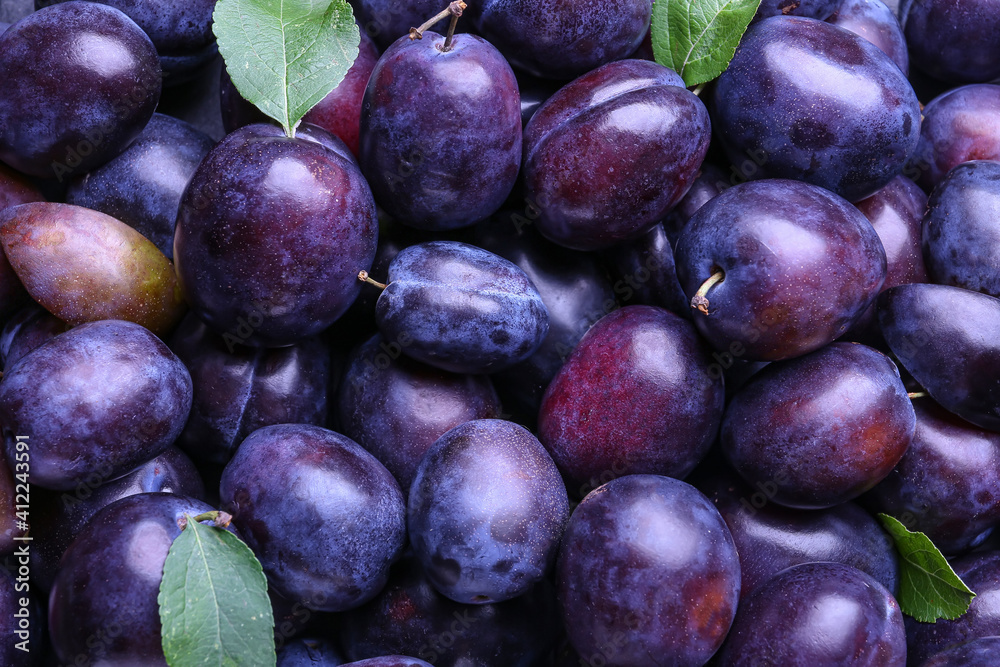 Many ripe plums as background