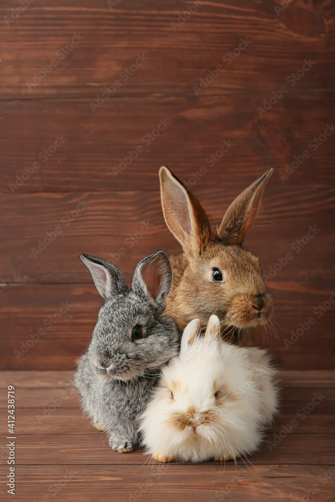 Cute funny rabbits on wooden background