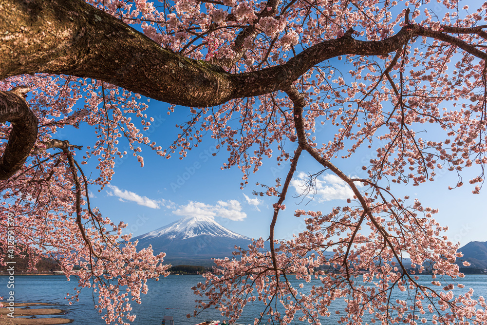 Mt. Fuji, Japan on Lake Kawaguchi