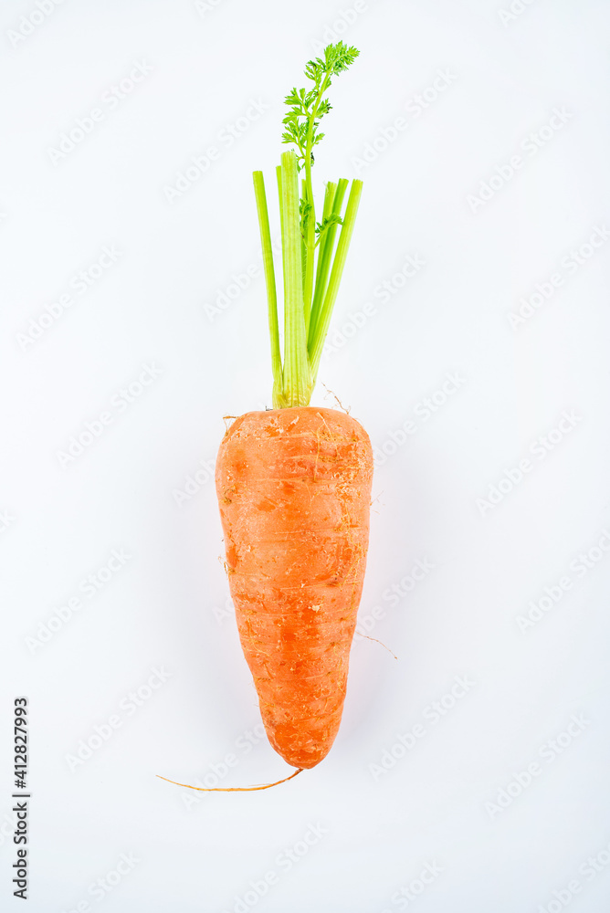 Fresh carrots on white background