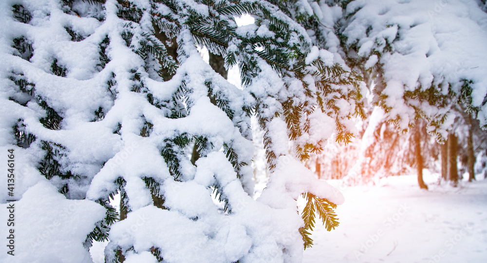 寒冷的冬日，高山上的树木被雪花覆盖