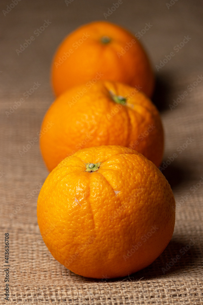 fresh, freshly picked oranges