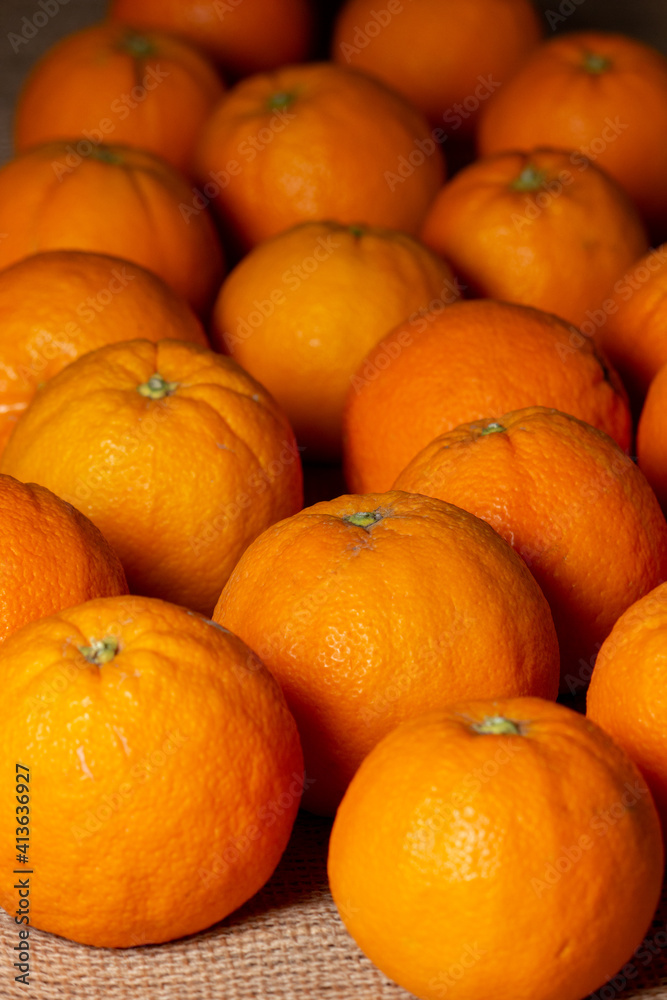 fresh, freshly picked oranges