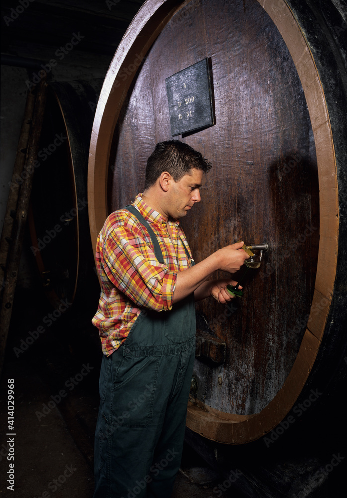 Viticulteur dans une cave avec des cuves en bois qui goûte son vin en Alsace