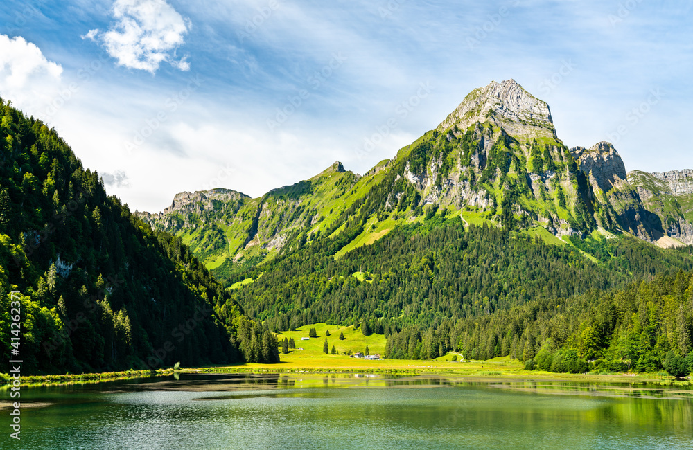 View of Brunnelistock mountain at Obersee lake in the Swiss Alps