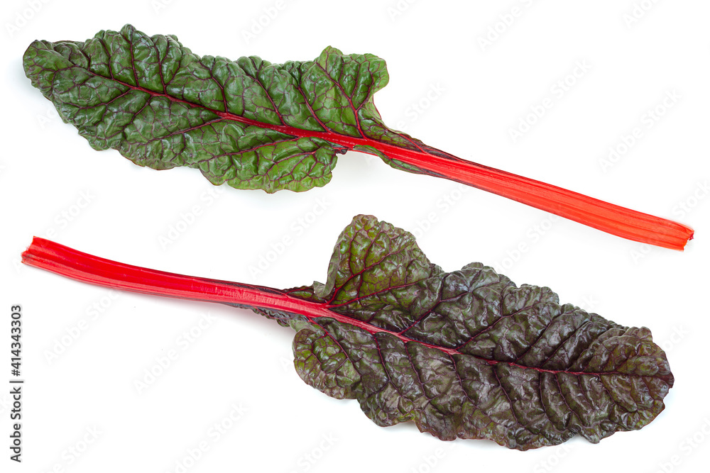 Chard leaf closeup