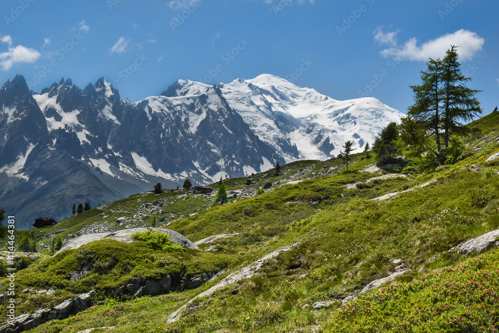 勃朗峰山脉景观