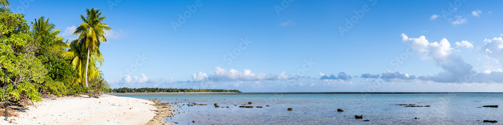 以棕榈树为背景的热带海滩全景