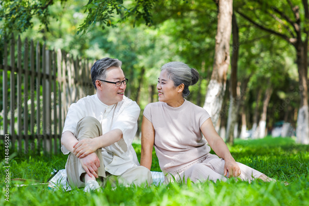 幸福老夫妻户外画像