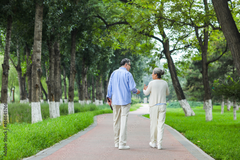 Happy old couple walking in the park