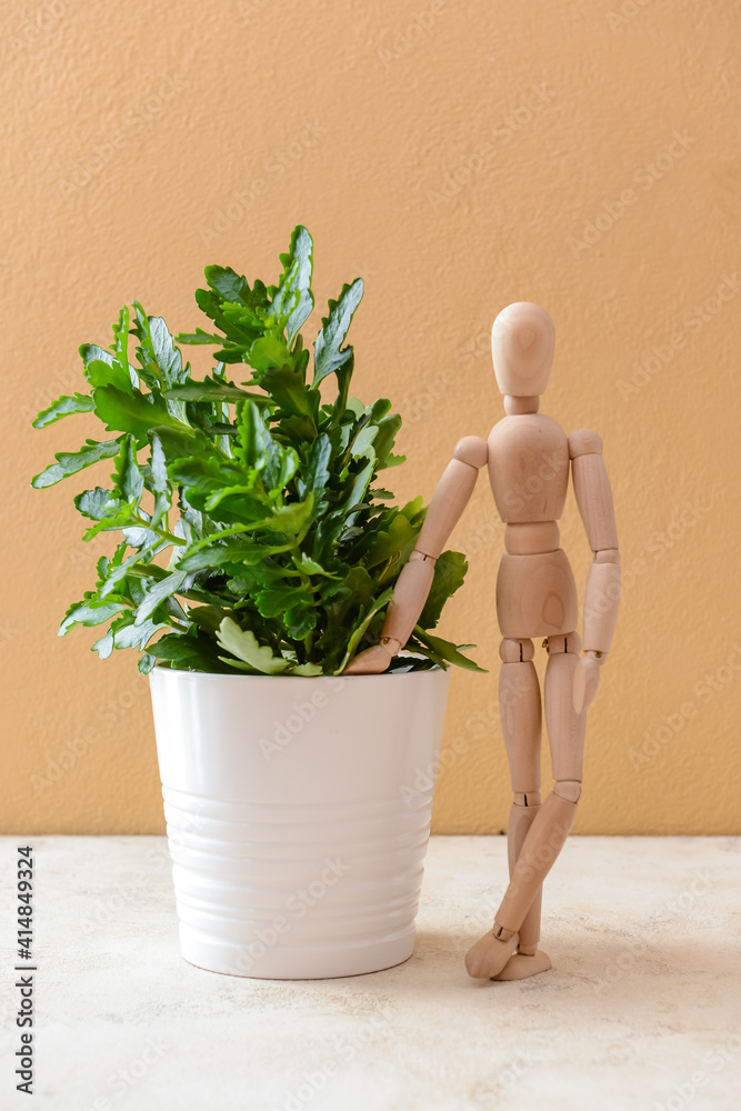 Wooden mannequin with houseplant on color background