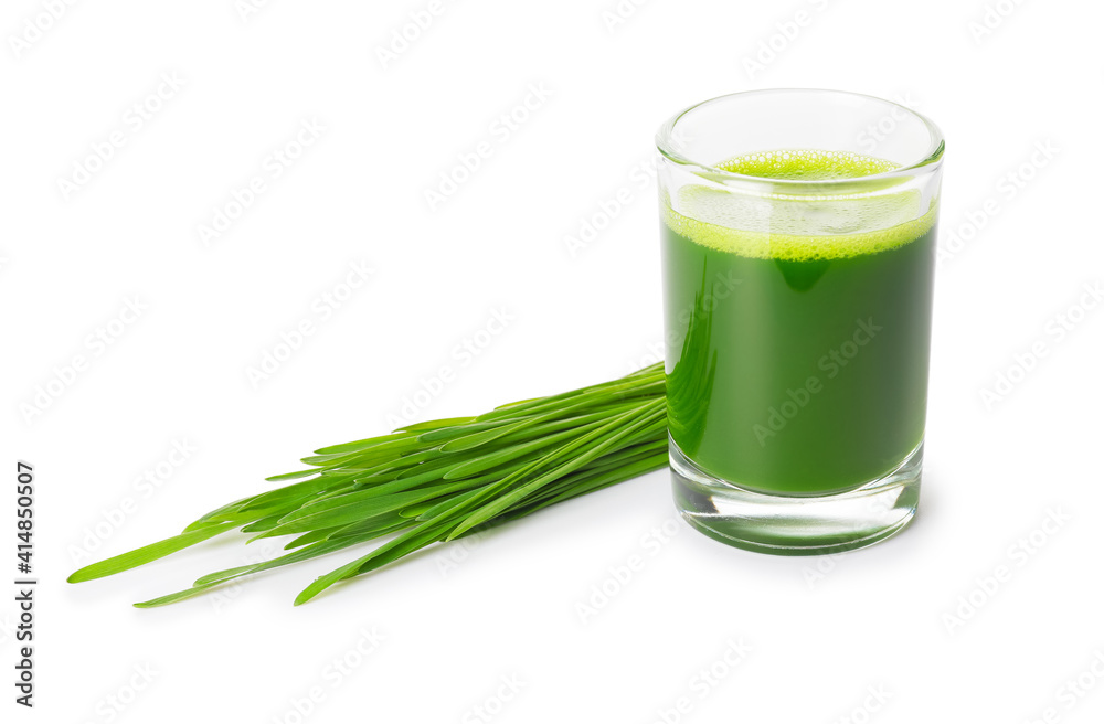 Glass with fresh wheatgrass juice on white background