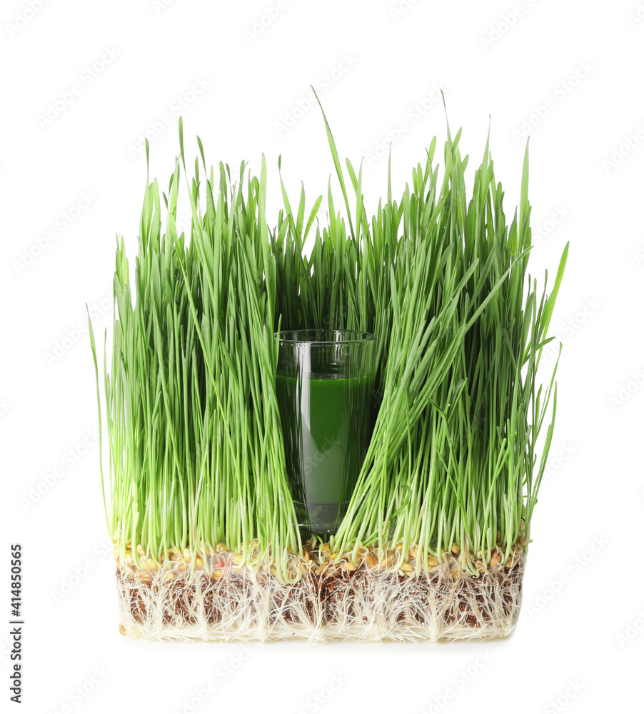 Glass with fresh wheatgrass juice on white background