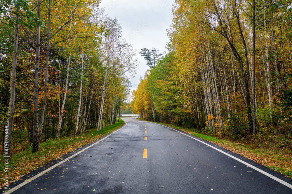 The road on the autumn forests landscape.