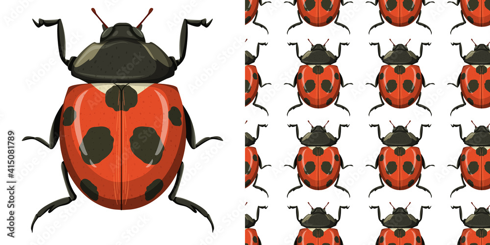 Beetle and seamless background