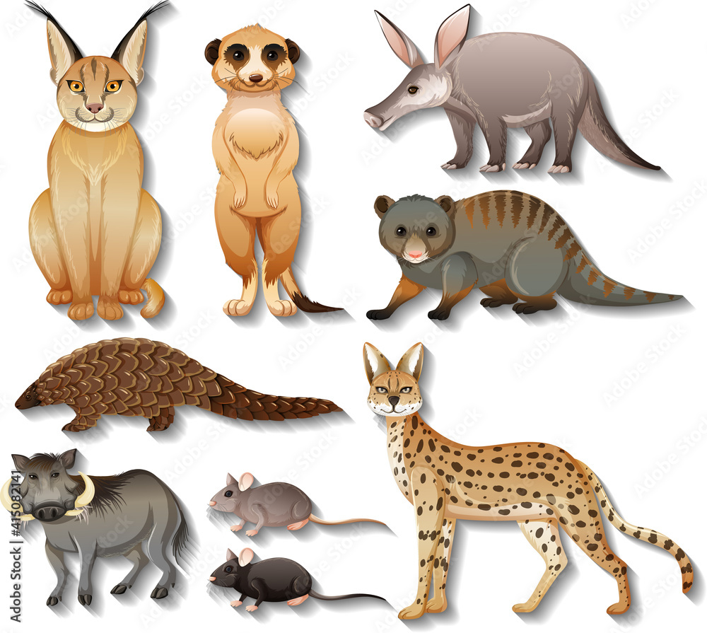 Set of isolated wild african animals on white background